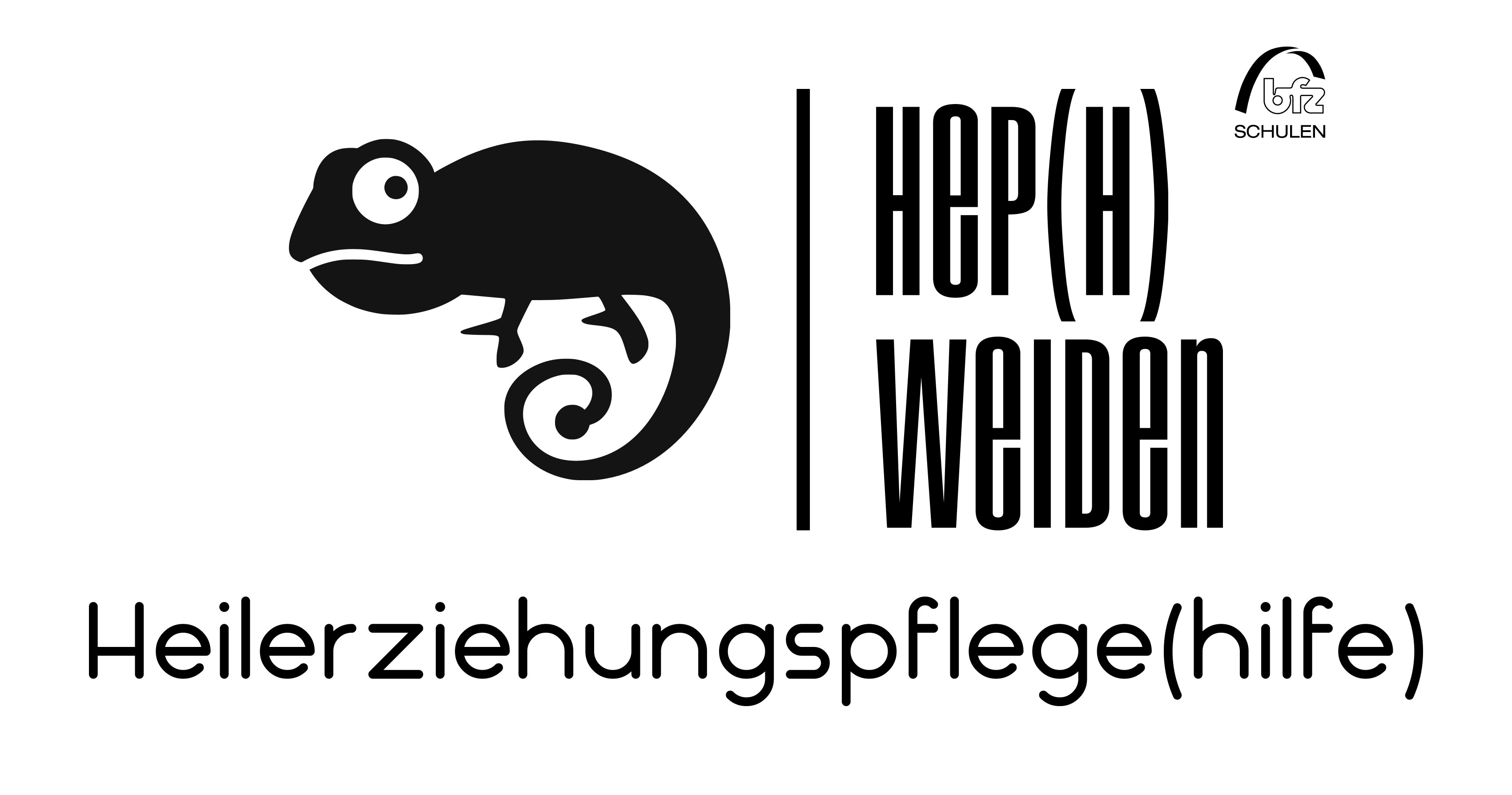 Logo der Fachschulen für Heilerziehungspflege(hilfe) Weiden mit Chamäleon